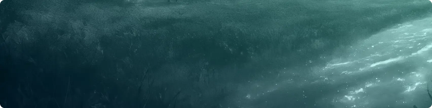 Affiliate Program Hero Banner